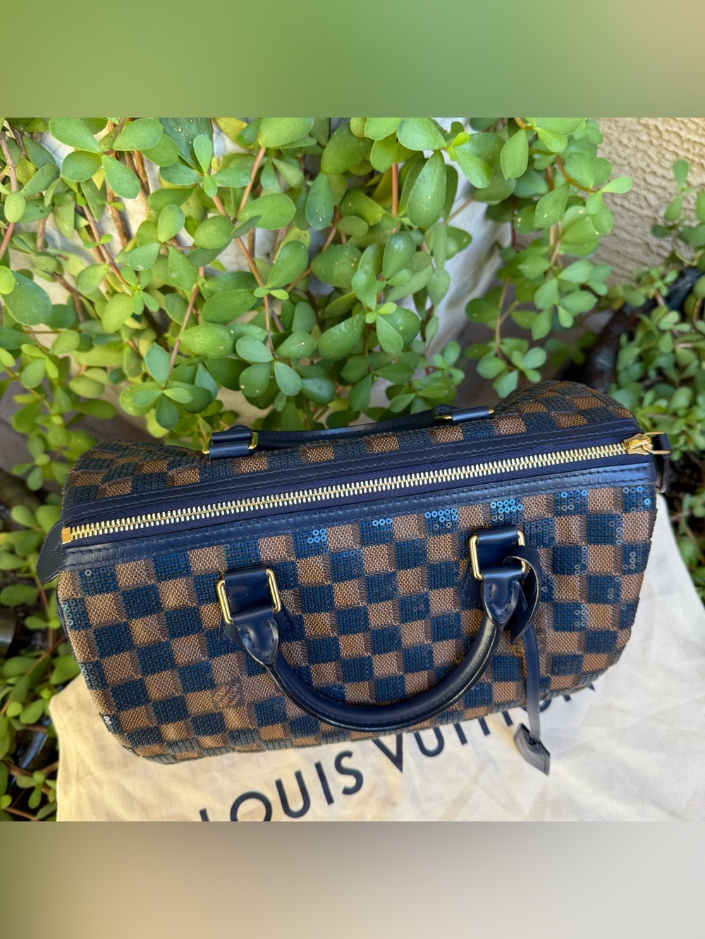 Louis Vuitton Damier Paillettes Speedy 30 - Picture 5 of 16